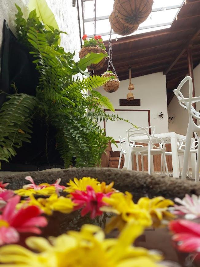 Volarte Hostal Jardín Exterior foto
